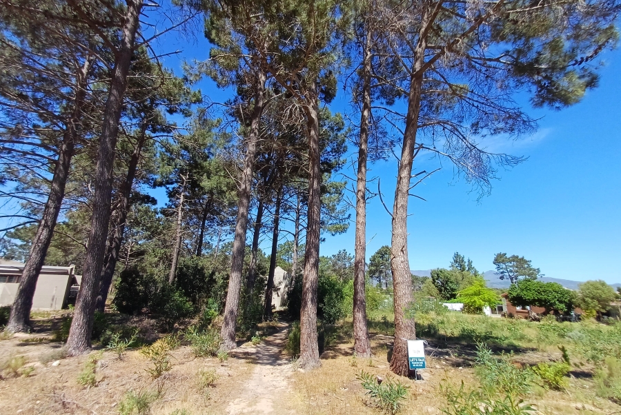 0 Bedroom Property for Sale in Bot River Avenues Western Cape